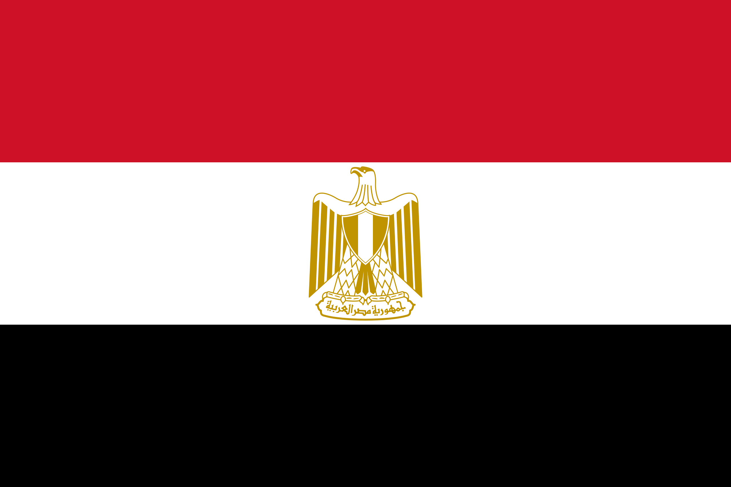 Flag 1