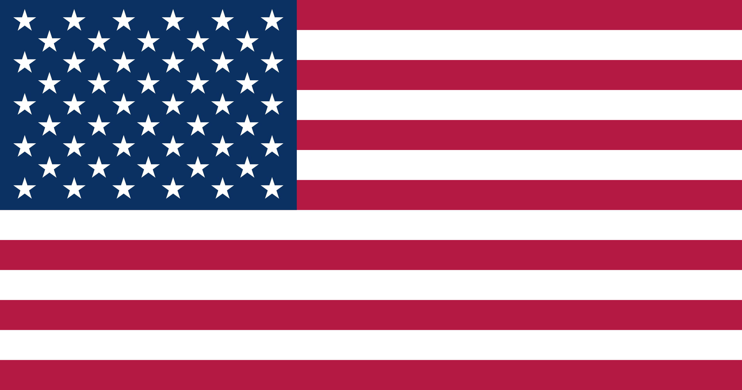 Flag 1