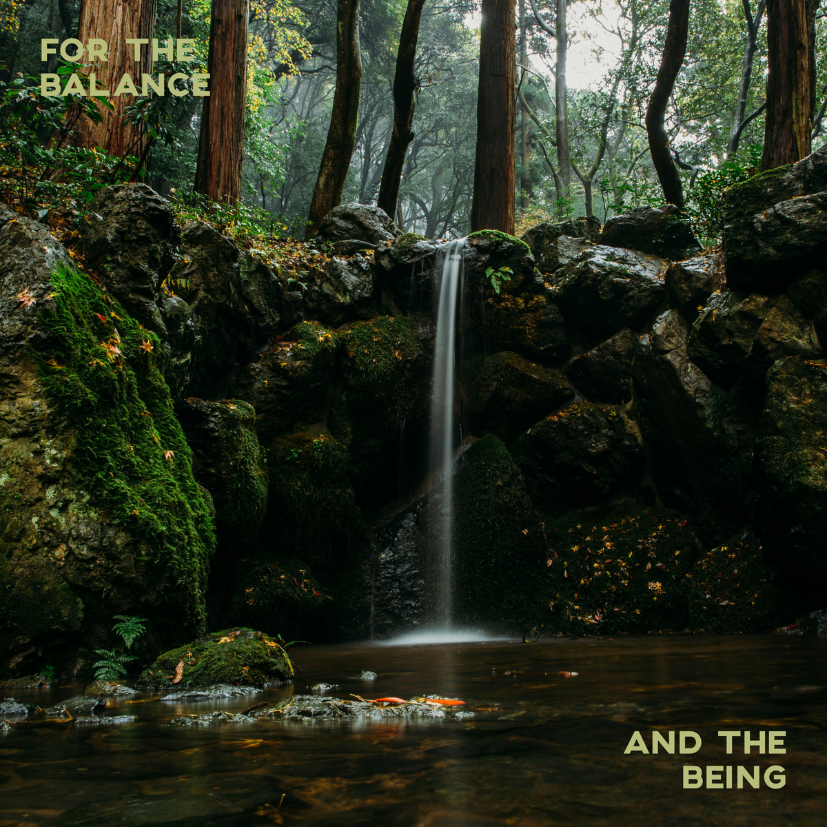 Waterfall in a forest with text overlay 'For the Balance' and 'And the Being'.